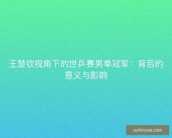 王楚钦视角下的世乒赛男单冠军:背后的意义与影响 王楚钦视角下的世乒赛男单冠军:背后的意义与影响
