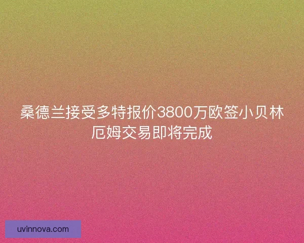 桑德兰接受多特报价3800万欧签小贝林厄姆交易即将完成 桑德兰接受多特报价3800万欧签小贝林厄姆交易即将完成