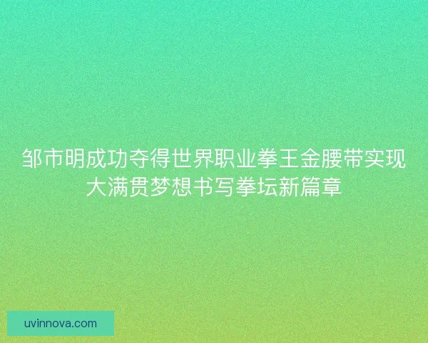 邹市明成功夺得世界职业拳王金腰带实现大满贯梦想书写拳坛新篇章